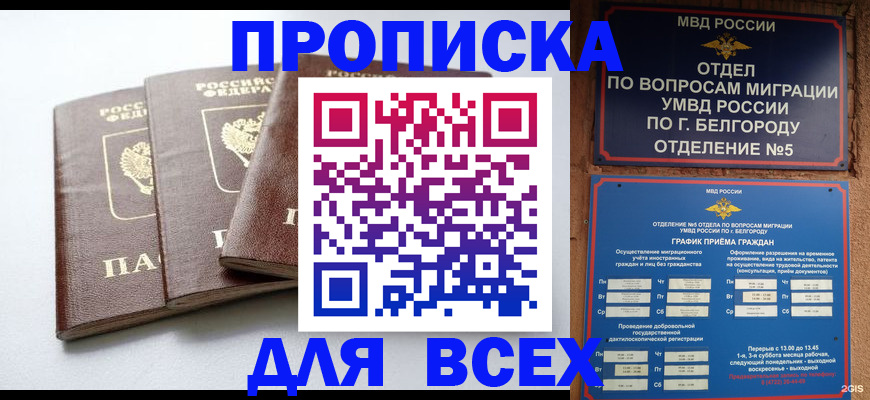 прописка в Ельне